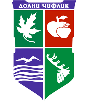 logodolnichiflik